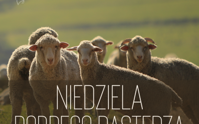 Papiery uwierzytelniające – Niedziela Dobrego Pasterza A